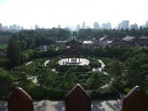 dscf1607